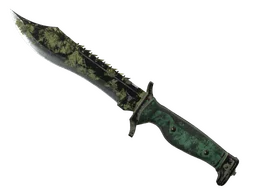 ★ Bowie Knife | Boreal Forest (Battle-Scarred)