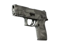 P250 | Facets (Minimal Wear)