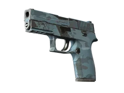 P250 | Forest Night (Field-Tested)