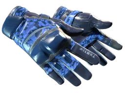 ★ Moto Gloves | Polygon (Minimal Wear)