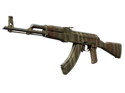 AK-47 | Predator (Well-Worn)