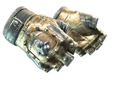 ★ Bloodhound Gloves | Bronzed (Field-Tested)