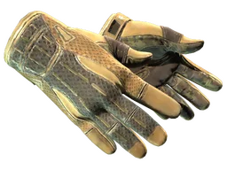 ★ Sport Gloves | Arid (Well-Worn)