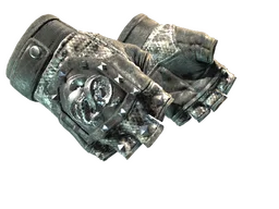 ★ Broken Fang Gloves | Unhinged (Field-Tested)