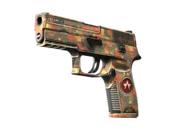 P250 | Red Rock (Field-Tested)