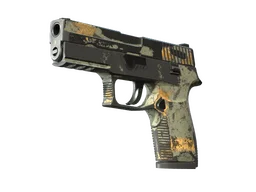 P250 | Modern Hunter (Battle-Scarred)
