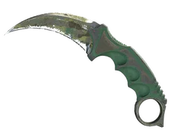 ★ Karambit | Boreal Forest (Battle-Scarred)