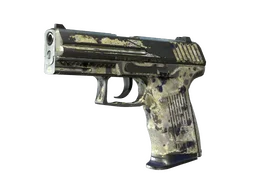P2000 | Granite Marbleized (Battle-Scarred)