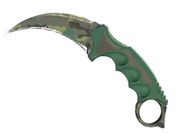 ★ Karambit | Boreal Forest (Well-Worn)
