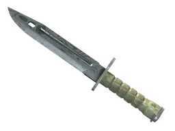 ★ Bayonet | Damascus Steel (Field-Tested)