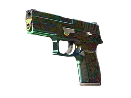 StatTrak™ P250 | Visions (Factory New)