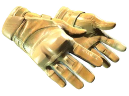 ★ Moto Gloves | Transport (Minimal Wear)