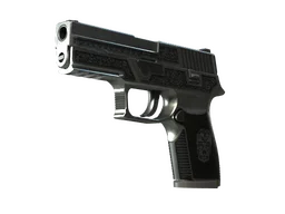 P250 | Cartel (Well-Worn)