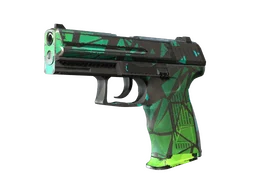 P2000 | Pulse (Field-Tested)