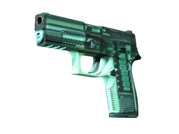 StatTrak™ P250 | X-Ray (Minimal Wear)